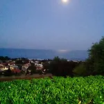 Prua *