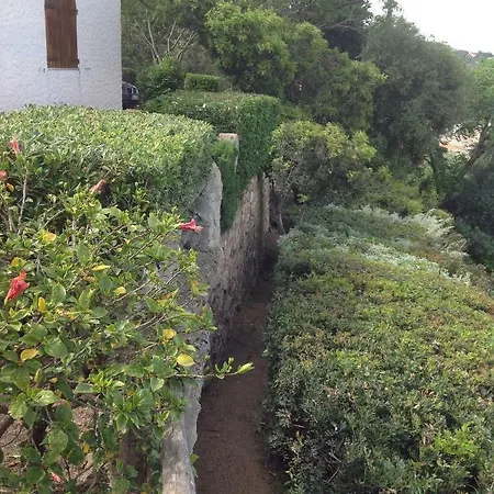 Prua كوستا ري