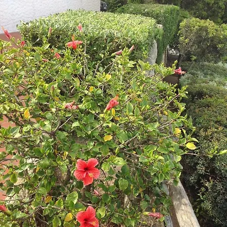 Villa Prua Costa Rei